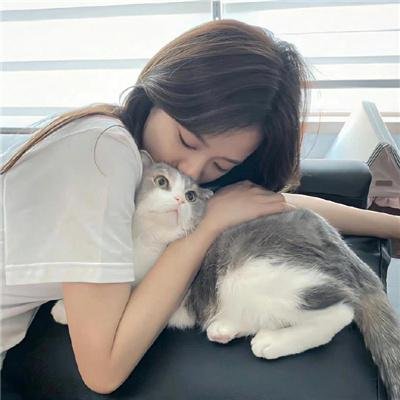 视线中的光