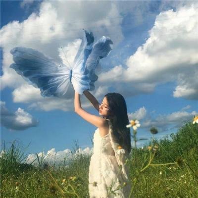 梦之森林